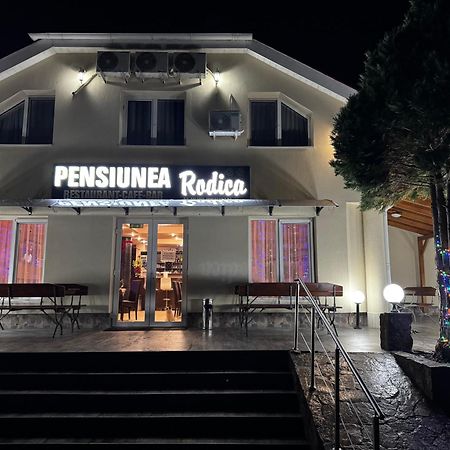 Pensiunea Rodica Nădlac Zewnętrze zdjęcie