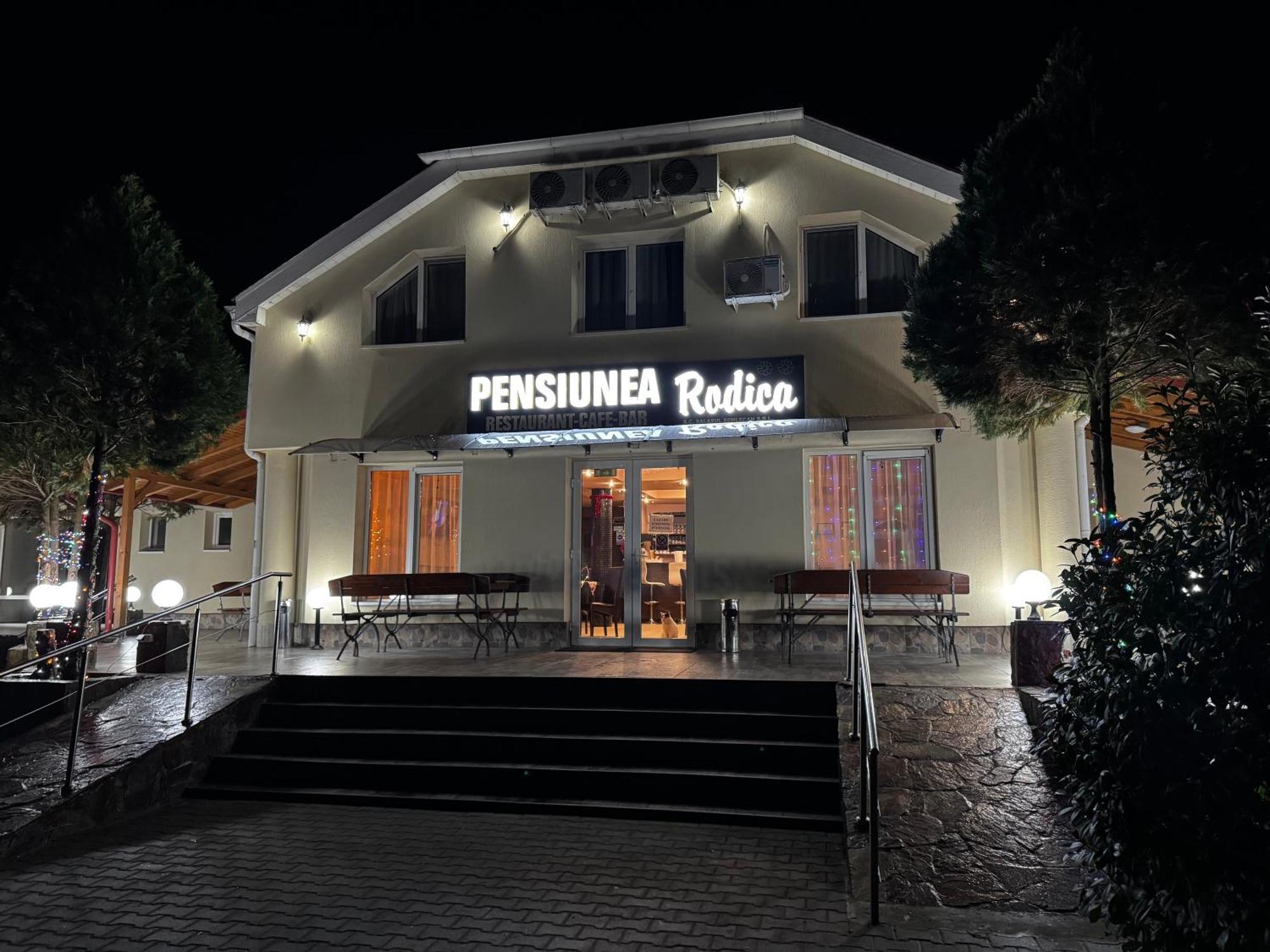 Pensiunea Rodica Nădlac Zewnętrze zdjęcie